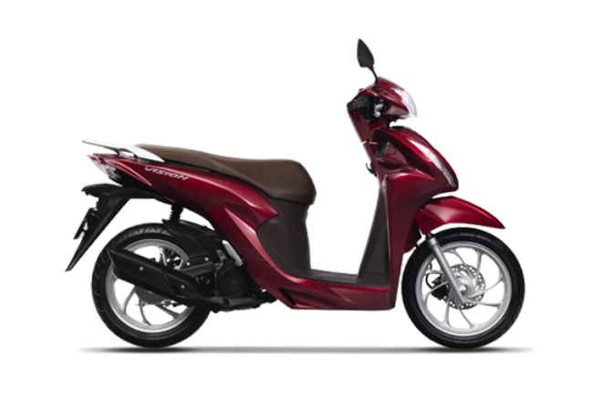 XE VISONE 2021